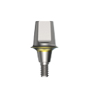 Solid Abutment-Ø6.0-1.0