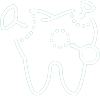 DENTIST